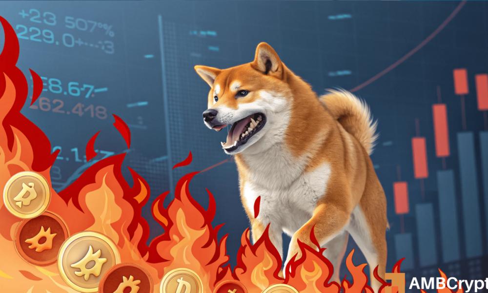 Shiba Inu的巨大2532.14%燃烧增长 - 会引发价格集会吗?